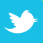 Twitter Alt 2 Icon 64x64 png